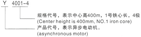西安泰富西玛Y系列(H355-1000)高压博湖三相异步电机型号说明
