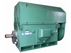 博湖Y系列6KV高压电机